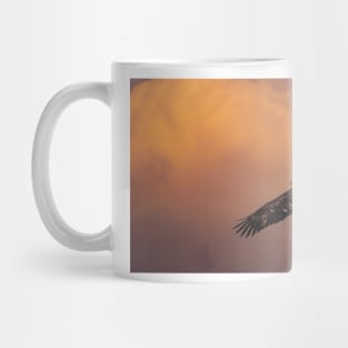 Juvenile Bald Eagle in Flight Mug